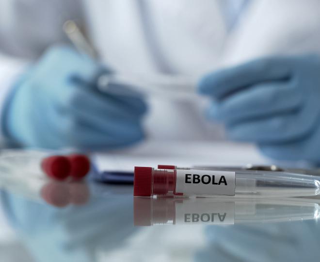 Ebola stock image
