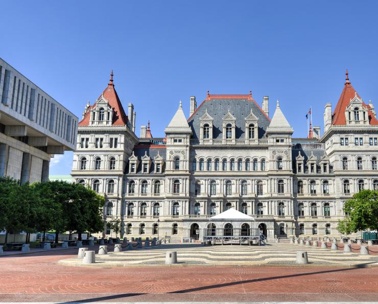 Legislative Victories Albany State Capital Building