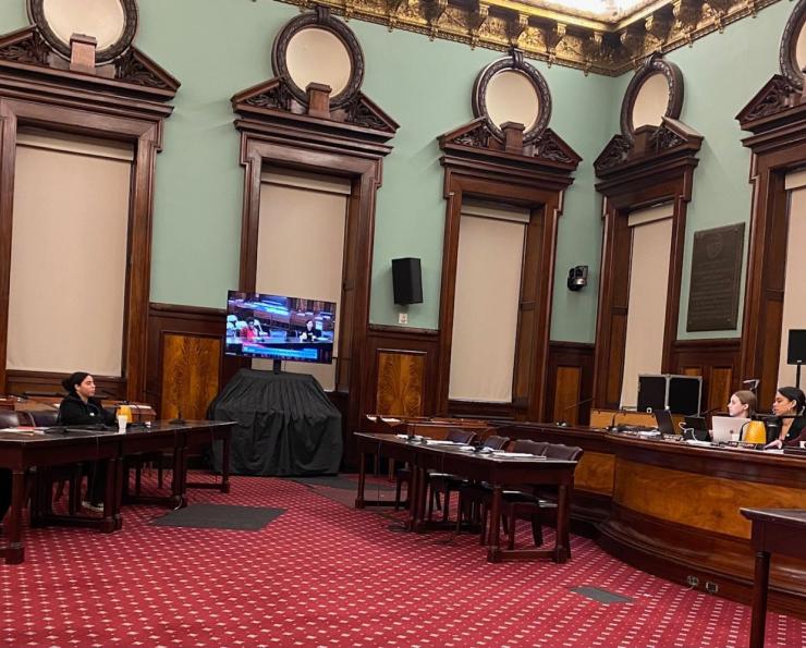 NYSNA Leader Marion Parkins Sit testifies in New York City Hall